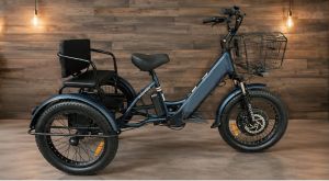 Трехколесный электровелосипед GREEN CITY e-ALFA Trike