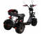 Электроскутер CityCoco SkyBoard Trike BR40-3000 PRO